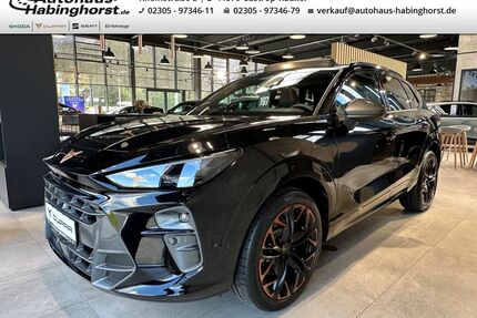 Cupra Terramar Gebrauchtwagen