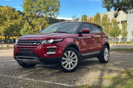 Land Rover Range Rover Evoque Gebrauchtwagen
