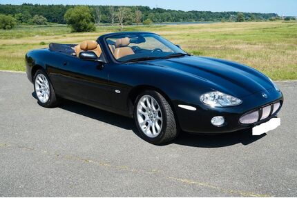 Jaguar XK8 Gebrauchtwagen