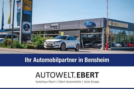 Ford Mustang Mach-E Gebrauchtwagen