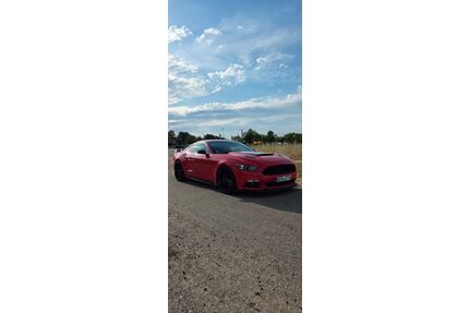 Ford Mustang Gebrauchtwagen
