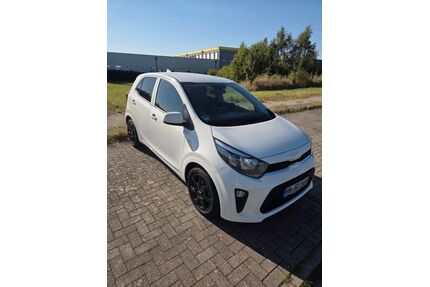 Kia Picanto Gebrauchtwagen