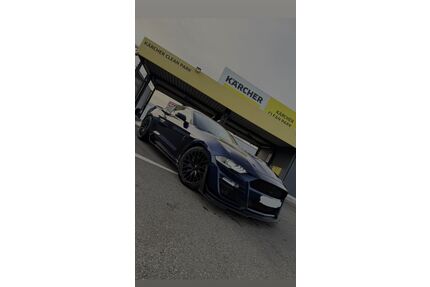 Ford Mustang Gebrauchtwagen