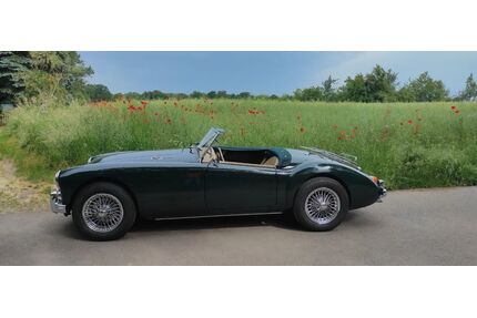 MG MGA Gebrauchtwagen