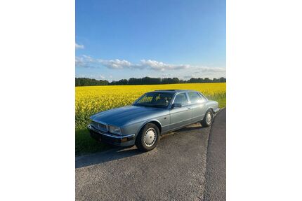 Jaguar XJ40 Gebrauchtwagen