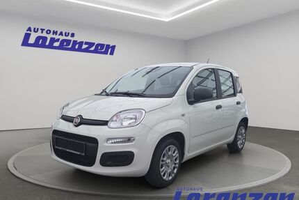 Fiat Panda Gebrauchtwagen