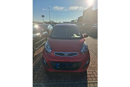 Kia Picanto Gebrauchtwagen