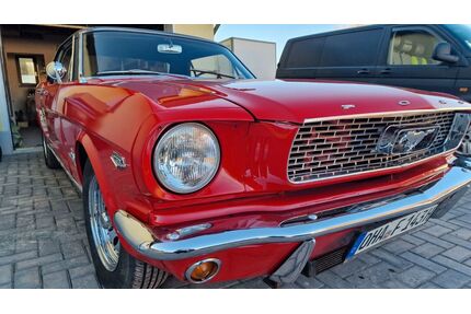 Ford Mustang Gebrauchtwagen