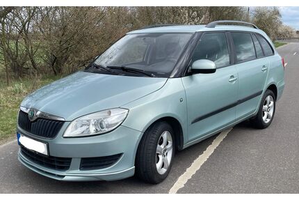 Skoda Fabia Gebrauchtwagen