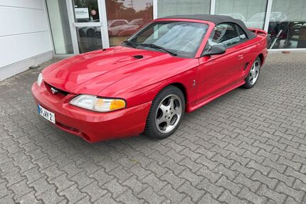 Ford Mustang Gebrauchtwagen