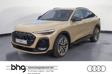 Audi SQ5 Gebrauchtwagen