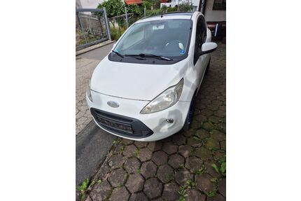 Ford Ka/Ka+ Gebrauchtwagen