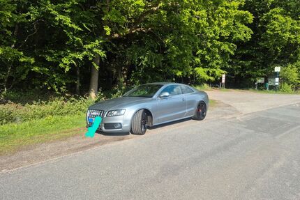 Audi S5 Gebrauchtwagen