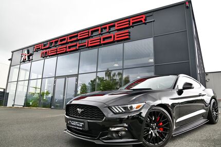 Ford Mustang Gebrauchtwagen