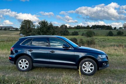 Audi Q5 Gebrauchtwagen