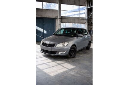 Skoda Fabia Gebrauchtwagen