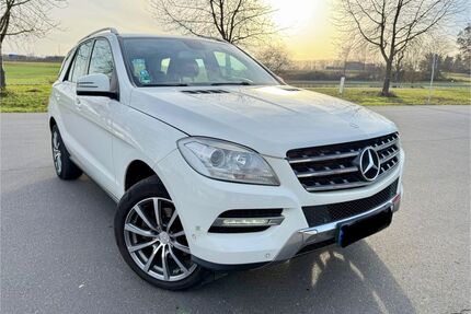 Mercedes-Benz ML 250 Gebrauchtwagen