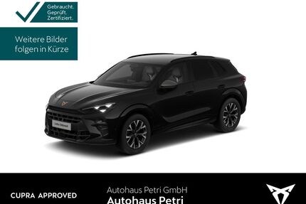 Cupra Terramar Gebrauchtwagen