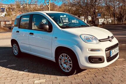 Fiat New Panda Gebrauchtwagen