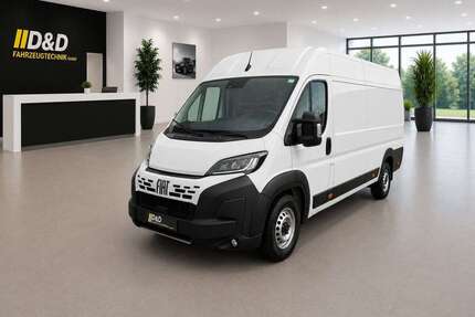 Fiat Ducato Gebrauchtwagen
