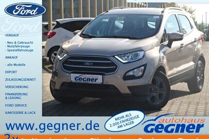 Ford EcoSport Gebrauchtwagen
