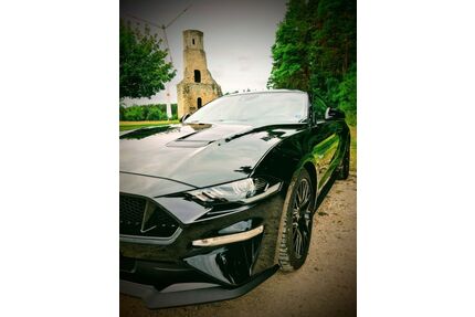 Ford Mustang Gebrauchtwagen