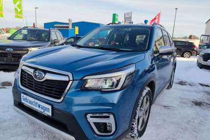 Subaru Forester Gebrauchtwagen