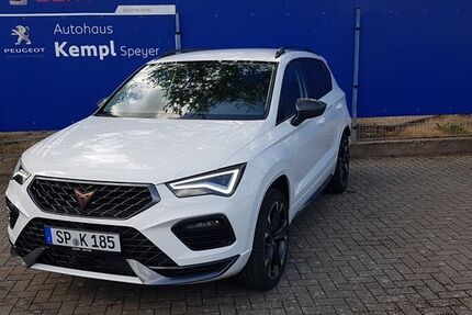Cupra Ateca Gebrauchtwagen