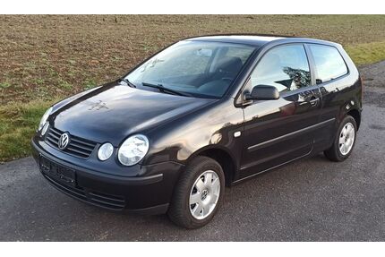 VW Polo Gebrauchtwagen