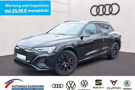 Audi Q8 e-tron Gebrauchtwagen