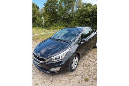 Kia pro ceed / ProCeed Gebrauchtwagen