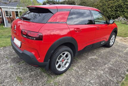 Citroen C4 Cactus Gebrauchtwagen