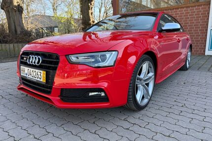 Audi S5 Gebrauchtwagen