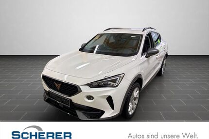 Cupra Formentor Gebrauchtwagen