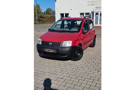 Fiat Panda Gebrauchtwagen