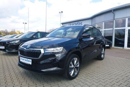 Skoda Karoq Gebrauchtwagen
