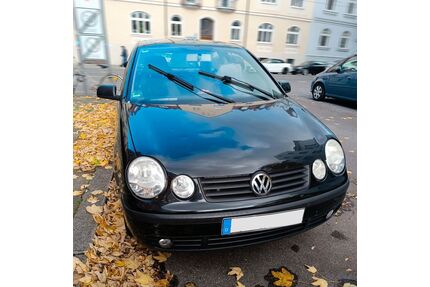 VW Polo Gebrauchtwagen