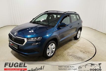 Skoda Karoq Gebrauchtwagen