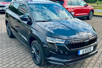 Skoda Karoq Gebrauchtwagen