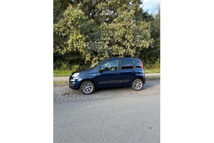 Fiat Panda Gebrauchtwagen