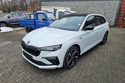 Skoda Scala Gebrauchtwagen