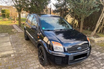 Ford Fusion Gebrauchtwagen