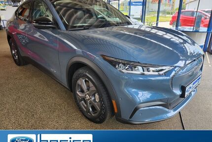 Ford Mustang Mach-E Gebrauchtwagen