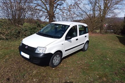 Fiat Panda Gebrauchtwagen