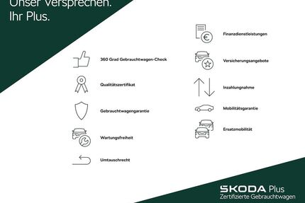 Skoda Fabia Gebrauchtwagen