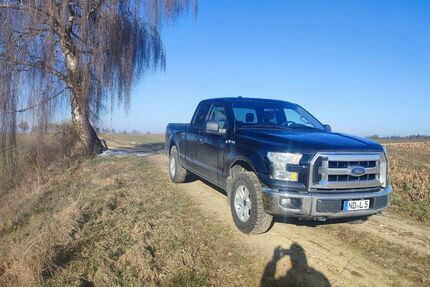 Ford F 150 Gebrauchtwagen