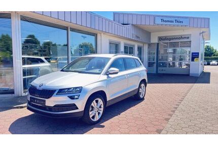 Skoda Karoq Gebrauchtwagen