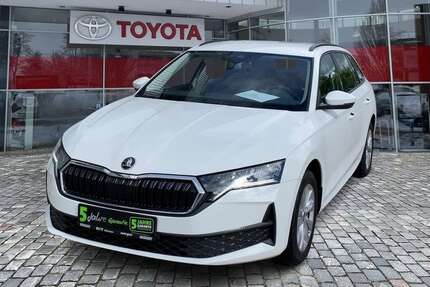 Skoda Octavia Gebrauchtwagen