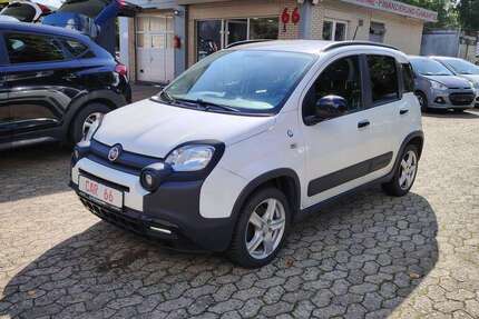 Fiat Panda Gebrauchtwagen