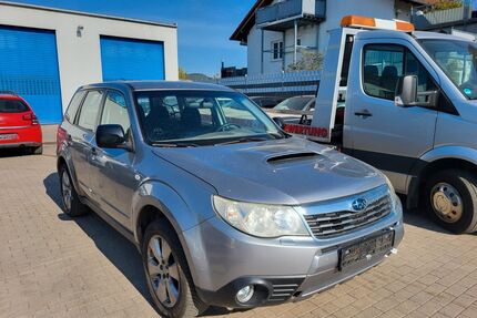 Subaru Forester Gebrauchtwagen